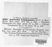 Image Associated With the Occurence